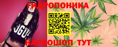 мяу мяу мука Усть-Джегута