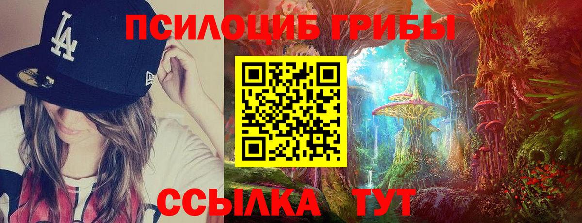 Псилоцибиновые грибы GOLDEN TEACHER  Вход с VPN  закладка  Менделеевск  Галлюциногенные грибы MAGIC MUSHROOMS 