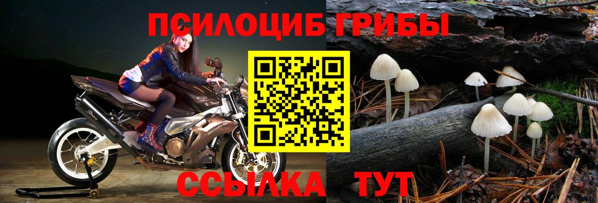 Псилоцибиновые грибы мицелий Менделеевск